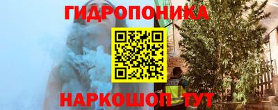 СК Тула